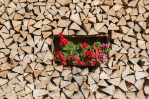 Woodpile with geraniums, Garmisch, Garmisch-Partenkirchen, Upper Bavaria, Bavaria, southern Germany, Germany, Europe Woodpile with geraniums, Garmisch, Garmisch-Partenkirchen, Upper Bavaria, Bavaria, southern Germany, Germany, Europe